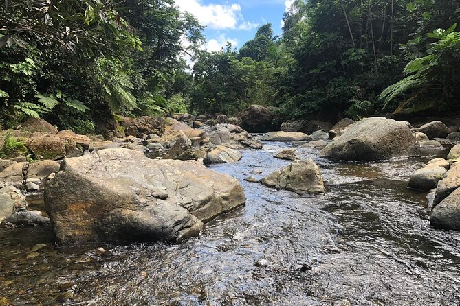 El Yunque National Forest and Luquillo Beach Combo - Value Check: Is $79 a Good Deal for This Combo?