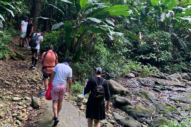 El Yunque National Forest and Luquillo Beach Combo - La Coca Waterfall: 85 Feet of Famous Puerto Rico Without the Big Fuss
