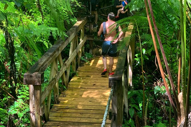 El Yunque National Forest and Luquillo Beach Tour - Catarata La Coca: The Waterfall Stop That Doesn’t Eat Your Day