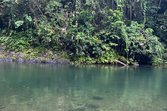 El Yunque National Forest Guided Tour with Transport - Bano Grande and CCC history: short, specific, and memorable
