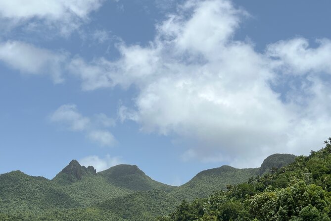 El Yunque National Forest Guided Tour with Transport - The guides: what you should expect from Louie’s VIP Tours