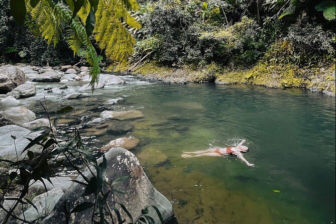 El Yunque National Forest Guided Tour with Transport - Getting there smoothly: pickup, timing, and the 5-hour rhythm