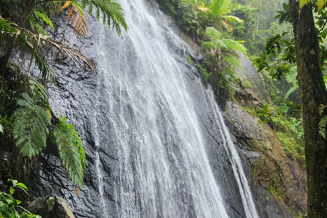 El Yunque National Rainforest and Luquillo Beach Tour - Price and logistics: why $79 feels fair here