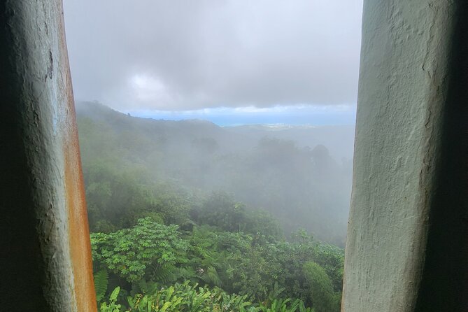 El Yunque National Rainforest and Luquillo Beach Tour - La Coca Falls: 85 feet of drama and easy photo access