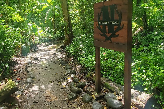 El Yunque National Rainforest and Luquillo Beach Tour - Mameyes River pools and the 15-minute walk: swim time, but not guaranteed