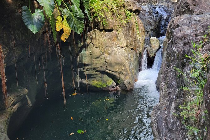 El Yunque Rainforest and Luquillo Kiosk Day Trip - The Hike: Mud, Slippery Steps, and Why Shoes Decide Everything