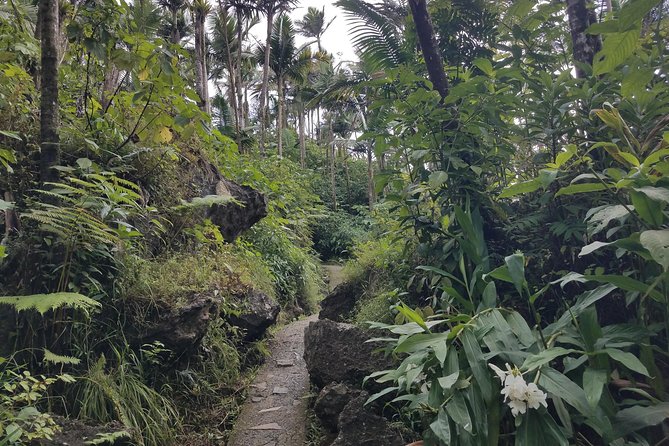 El Yunque Rainforest Full Day Private Tour - Catarata La Coca: a quick photo stop that respects the weather