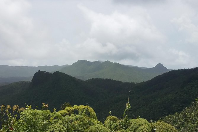 El Yunque Rainforest Full Day Private Tour - Torre Yokahu: your best chance at big views