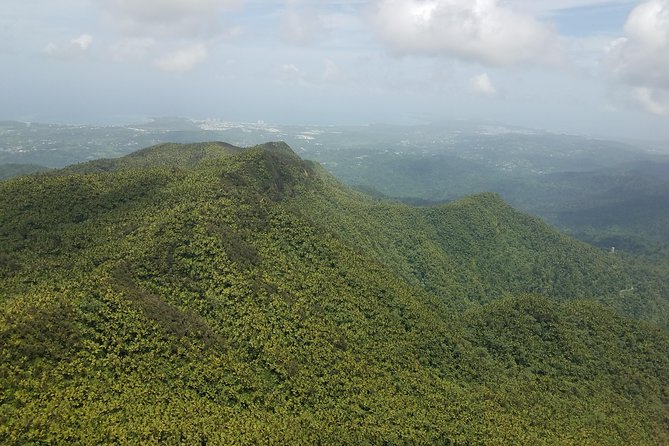 El Yunque Rainforest Full Day Private Tour - Lunch is on you, and that’s part of the strategy