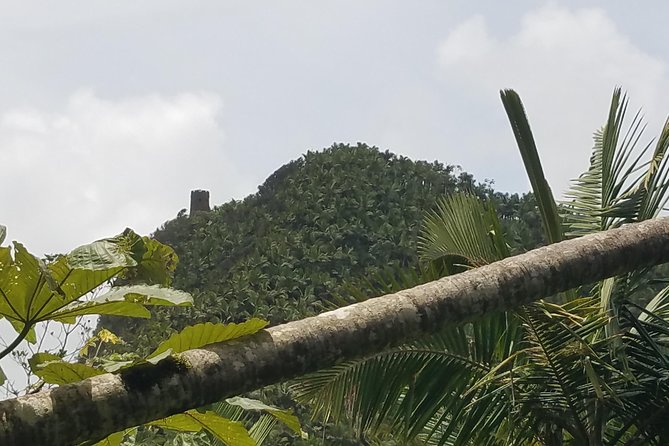El Yunque Rainforest Full Day Private Tour - What’s included (and what you’re paying for at $333)
