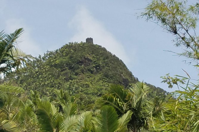 El Yunque Rainforest Full Day Private Tour - Who this private El Yunque tour fits best