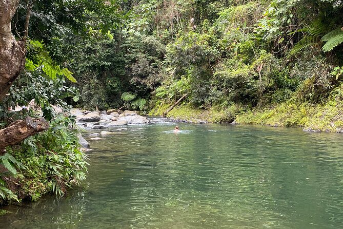 El Yunque Rainforest Guided Day Tour from San Juan - Mameyes II and the River Swim: Short Walk, Real Conditions