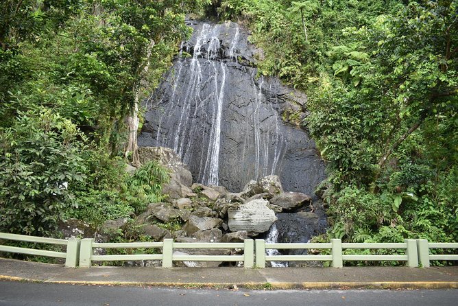El Yunque Rainforest Guided Day Tour from San Juan - Lunch on Your Own: How to Use the Break Without Stress