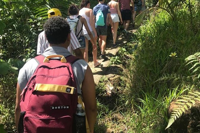 El Yunque Rainforest Guided Day Tour from San Juan - Who Should Book This Tour (and Who Might Want a Different Style)