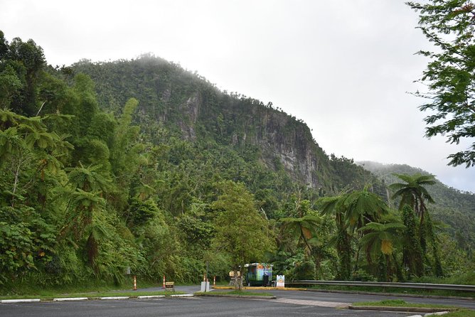El Yunque Rainforest Guided Day Tour from San Juan - Waterfall From the Road: When the Best View Is a Pass-By