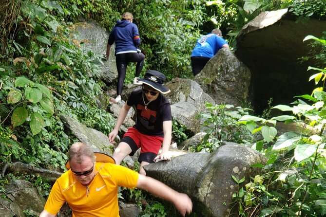 El Yunque Rainforest Guided Tour - Stop 1: El Yunque National Forest trail time, rivers, and that rainforest wow