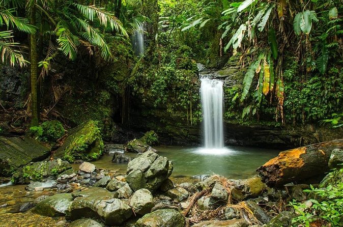 El Yunque Rainforest Guided Tour - Tower viewpoints and the waterfall stop: when the scenery turns into photos