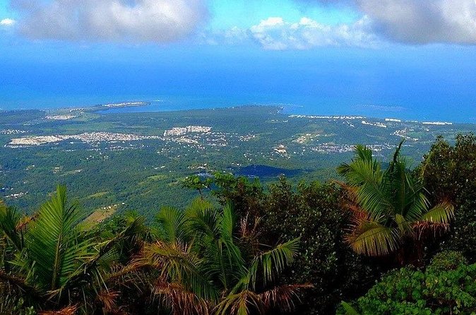 El Yunque Rainforest Guided Tour - The meal stop: what you’re buying, and how to prep