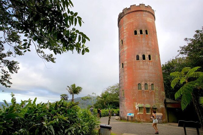 El Yunque Rainforest Guided Tour - Price and value at $75: what you’re really paying for