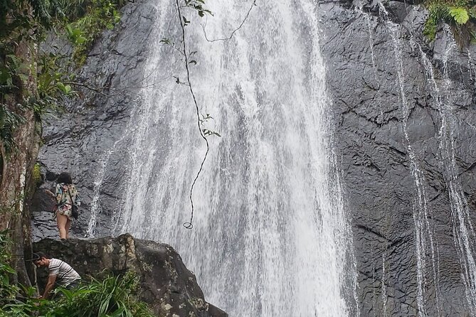 El Yunque Rainforest Guided Tour - Timing, pickup, and how the drive shapes your day