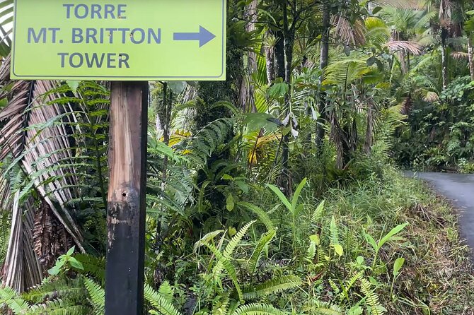 El Yunque Rainforest Hike with Transport from San Juan - The 8:00 am rhythm: how the tour day actually flows