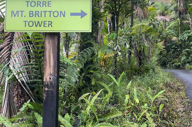 El Yunque Rainforest Hike with Transport from San Juan - Mt. Britton Lookout Tower: the short climb with big payoffs