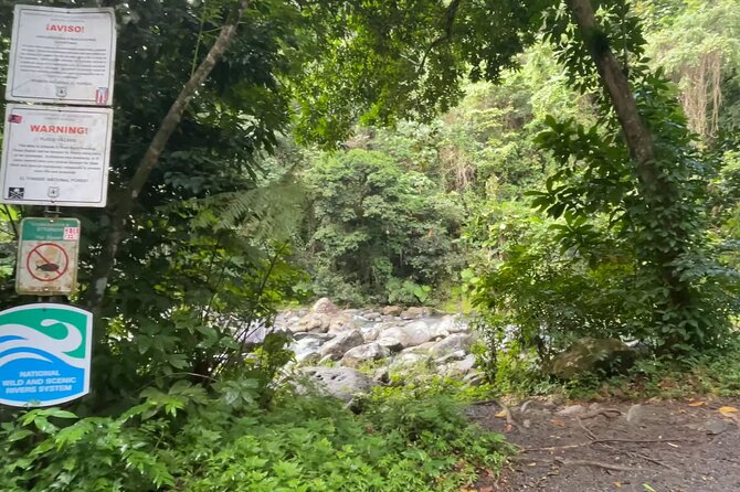 El Yunque Rainforest Hike with Transport from San Juan - Price and value: is $125 fair for what’s included?