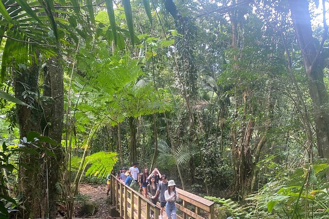 El Yunque Rainforest Hiking Tour from San Juan - Key Points Before You Go
