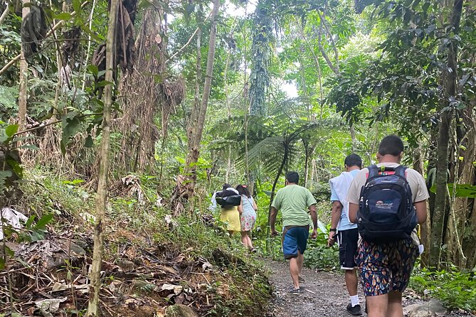 El Yunque Rainforest Hiking Tour from San Juan - San Juan to El Yunque: the no-car way to get in fast