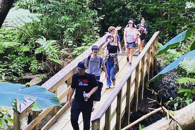 El Yunque Rainforest Hiking Tour from San Juan - River walk and the natural pool: when swimming is on the table
