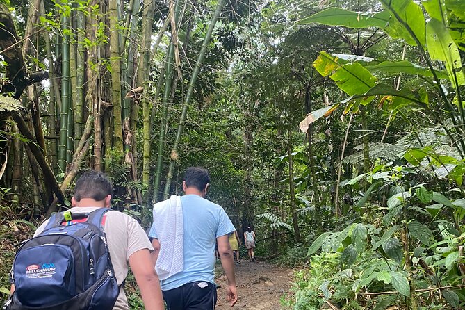 El Yunque Rainforest Hiking Tour from San Juan - What guides add: safety, flow, and the Puerto Rico stories