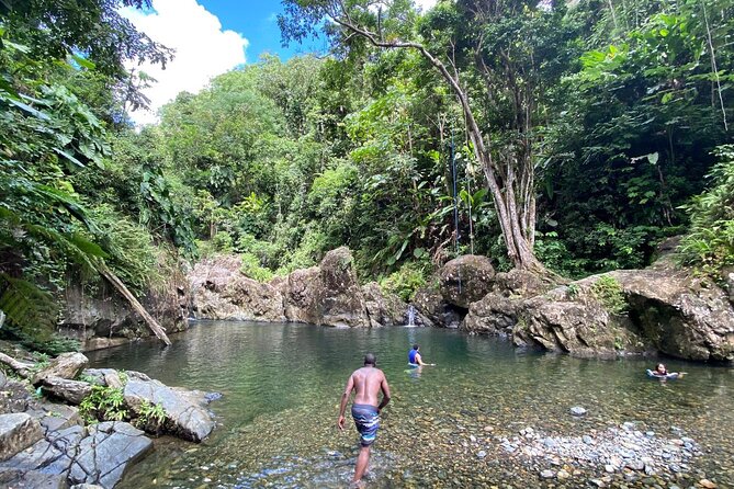 El Yunque Rainforest Morning River and Hike Adventure - Key Highlights You’ll Feel Immediately