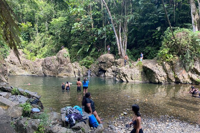 El Yunque Rainforest Morning River and Hike Adventure - Who This Tour Fits Best (And Who Might Want Something Else)