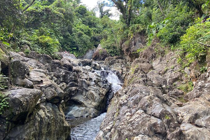 El Yunque Rainforest Morning River and Hike Adventure - The First Trail to Tinajas: Waterfalls, Rope Swings, and a 15-Foot Choice