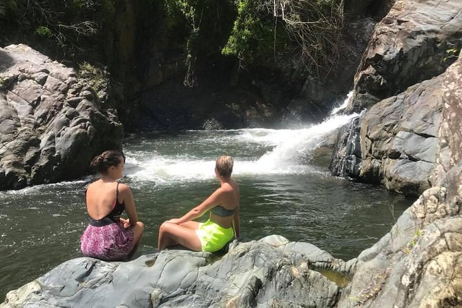 El Yunque Rainforest Tour from Fajardo - Key things you’ll notice on this El Yunque tour