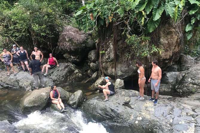 El Yunque Rainforest Tour from Fajardo - Guides, group pace, and how the experience stays personal