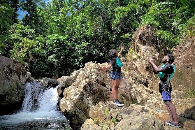 El Yunque Rainforest Tour Half Day Earlybird/ Small Groups - Stop 2: El Yunque National Forest—Hike, Slide, Rope Swing, Cliff Jumps