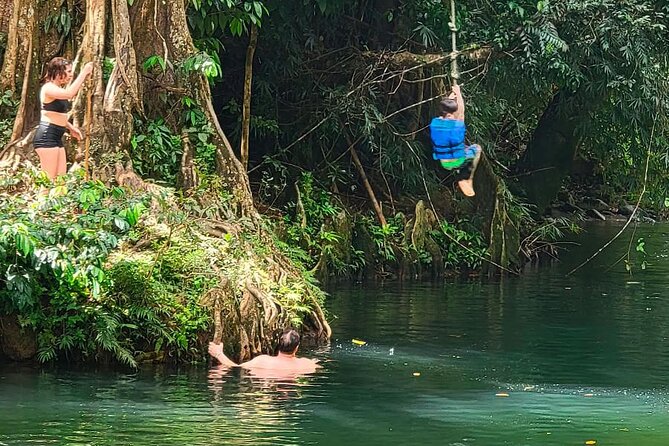 El Yunque Rainforest Tour Half Day Earlybird/ Small Groups - What’s Included (and Why It Matters for Value)