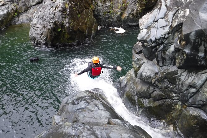 El Yunque Rainforest Tour: Natural Waterslides Adventure - Price and value: why $65 can feel like a lot and still be a bargain