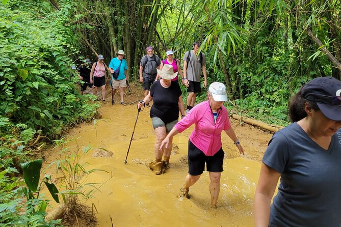 El Yunque Rainforest - Waterslide, Cliff jump, and Rope swing! - Price and value: what you’re really paying for