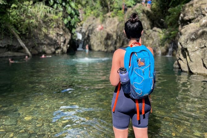 El Yunque Small Group Tour with Luquillo Lunch Stop and Transport - Price and value: is $90 worth it?