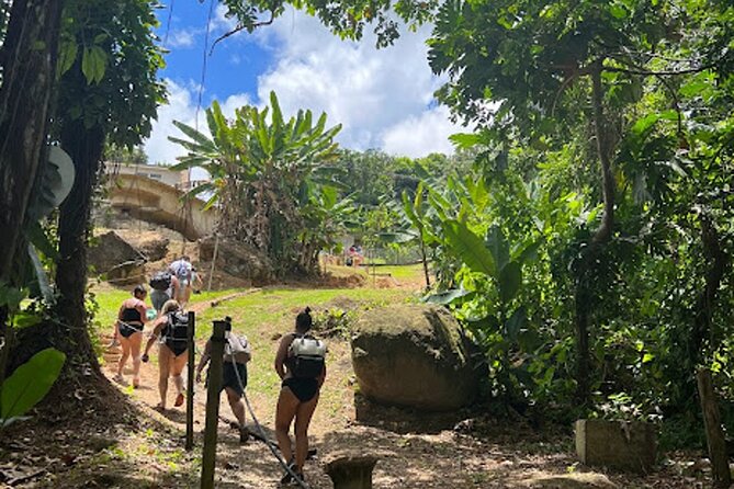 El Yunque Waterslide and Waterfall Tour with Food and Photos - Luquillo Beach Hour: Fast Recovery, Local Food, and Time to Wander