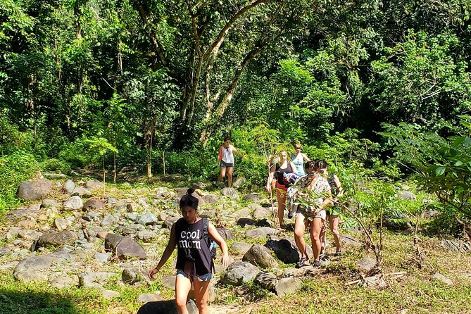 El Yunque Ziplining with River and Beach Visit - How the Day Feels: Fast-Paced, Gear-Up, Then Go