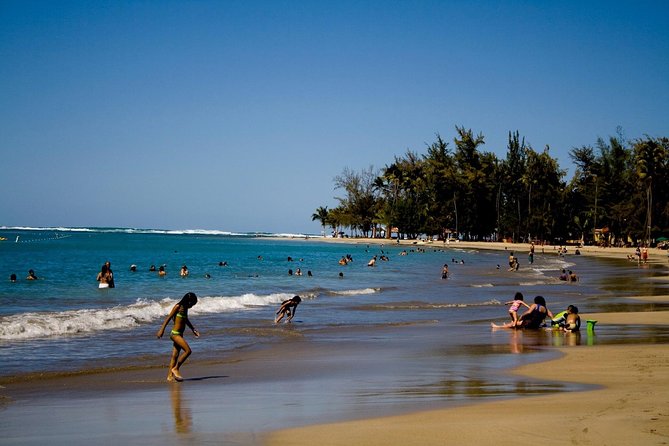 Epic Guided Adventure in El Yunque National Rainforest & Beach - Stops Along the Way: Bathrooms, Snacks, and Keeping the Day Comfortable