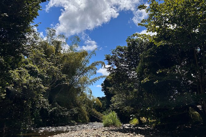 Explore El Yunque: Hiking, Swings & Waterslide (Small Group) - Price and Value: Why $40 Can Feel Like a Deal