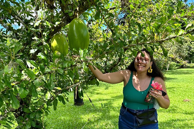 Explore Indigenous Roots, Experience a day in the life of a Taíno - Tips That Make the Day Easier