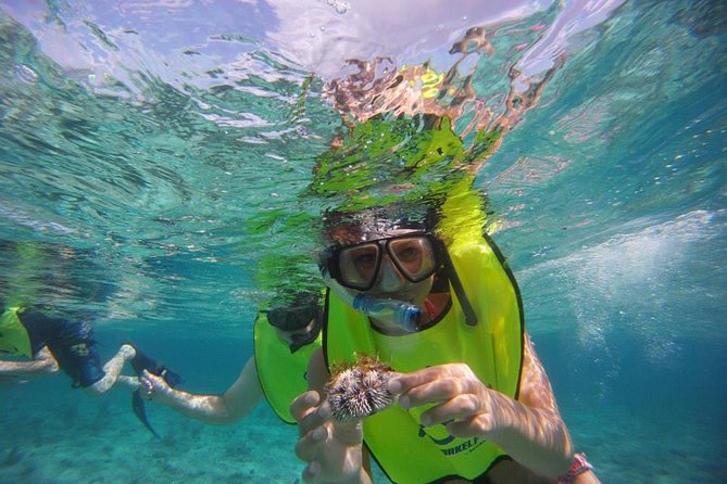 Fajardo Afternoon Snorkeling Adventure Tour - Fajardo at 2:30 pm: why this timing feels easier