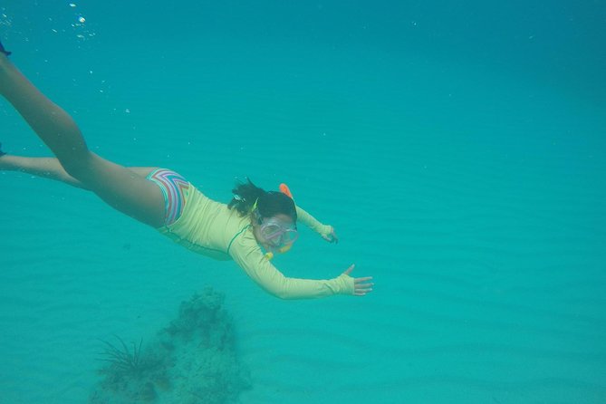 Fajardo Afternoon Snorkeling Adventure Tour - Who should book this Fajardo snorkeling adventure