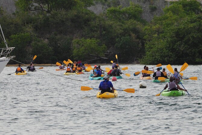 Fajardo Bioluminescent Bay Night Kayak Adventure from San Juan - Why the glow can be specks—or a showstopper