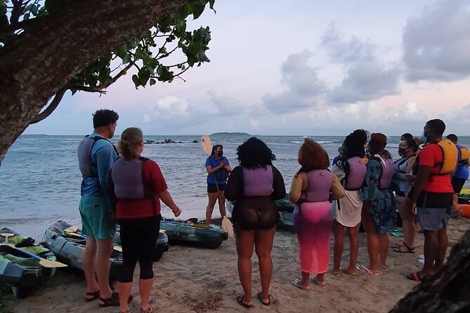 Fajardo Bioluminescent Bay Night Kayak Adventure from San Juan - Guide commentary in English or Spanish: how it changes the experience